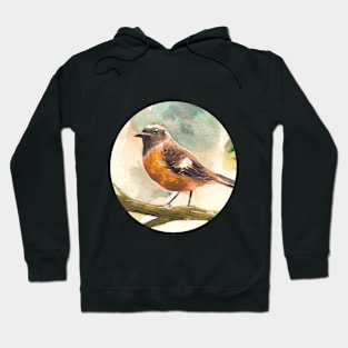 bird Illustration Hoodie